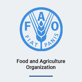 FAO-Partner